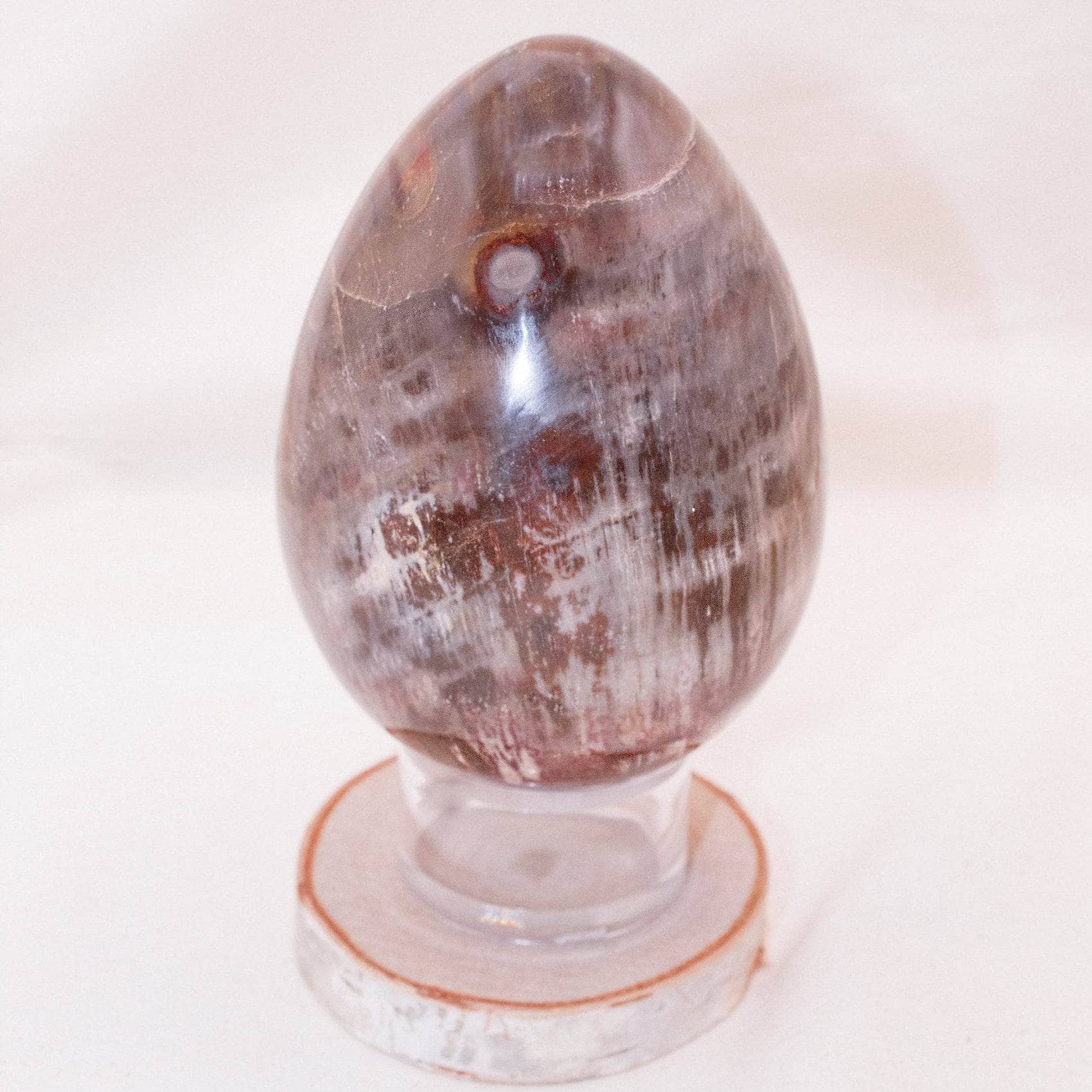 TR-EGG-PW-MI-3-3 Petrified Wood Egg - AAA Premium Quality - Image 7