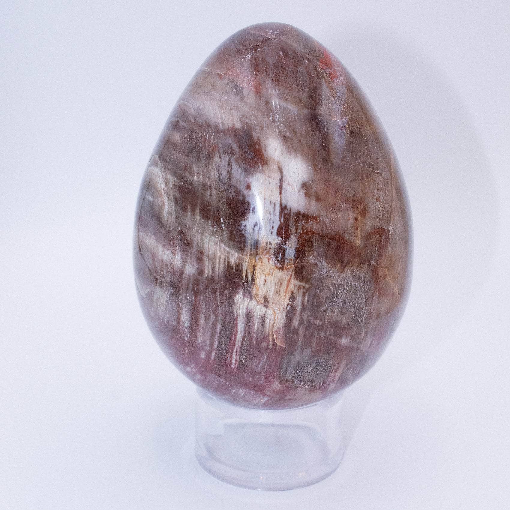 TR-EGG-PW-MI-3 Petrified Wood Egg - AAA Premium Quality - Image 9
