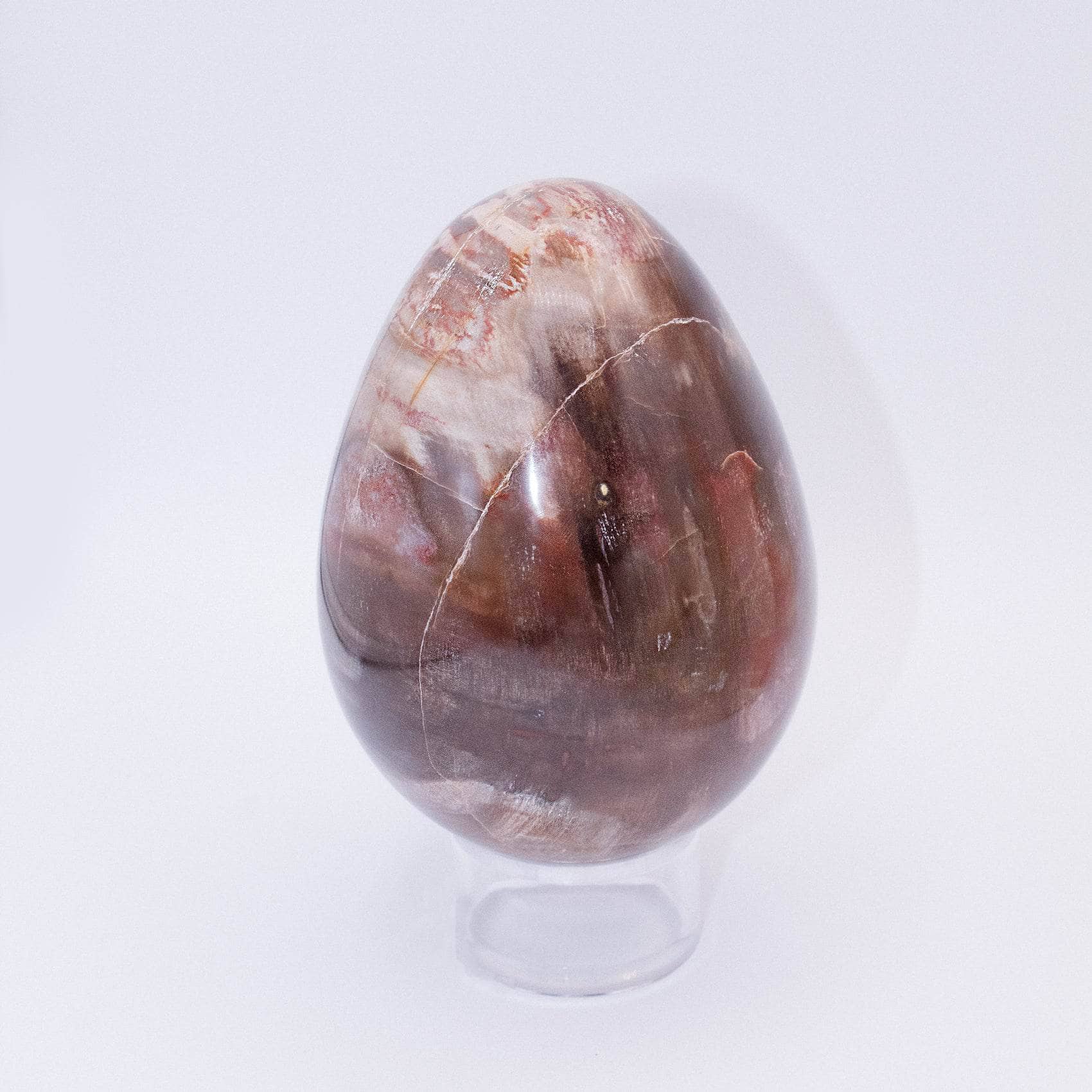 TR-EGG-PW-MI-4-2 Petrified Wood Egg - AAA Premium Quality - Image 12