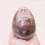 Petrified Wood Egg - AAA Premium Quality - Image 11