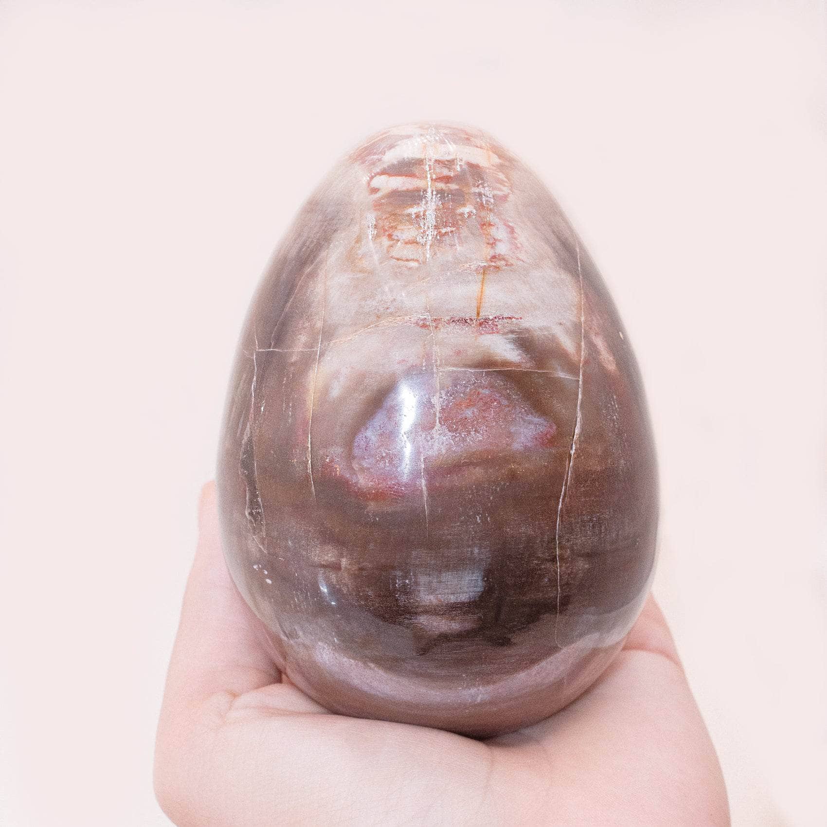TR-EGG-PW-MI-4-3 Petrified Wood Egg - AAA Premium Quality - Image 11
