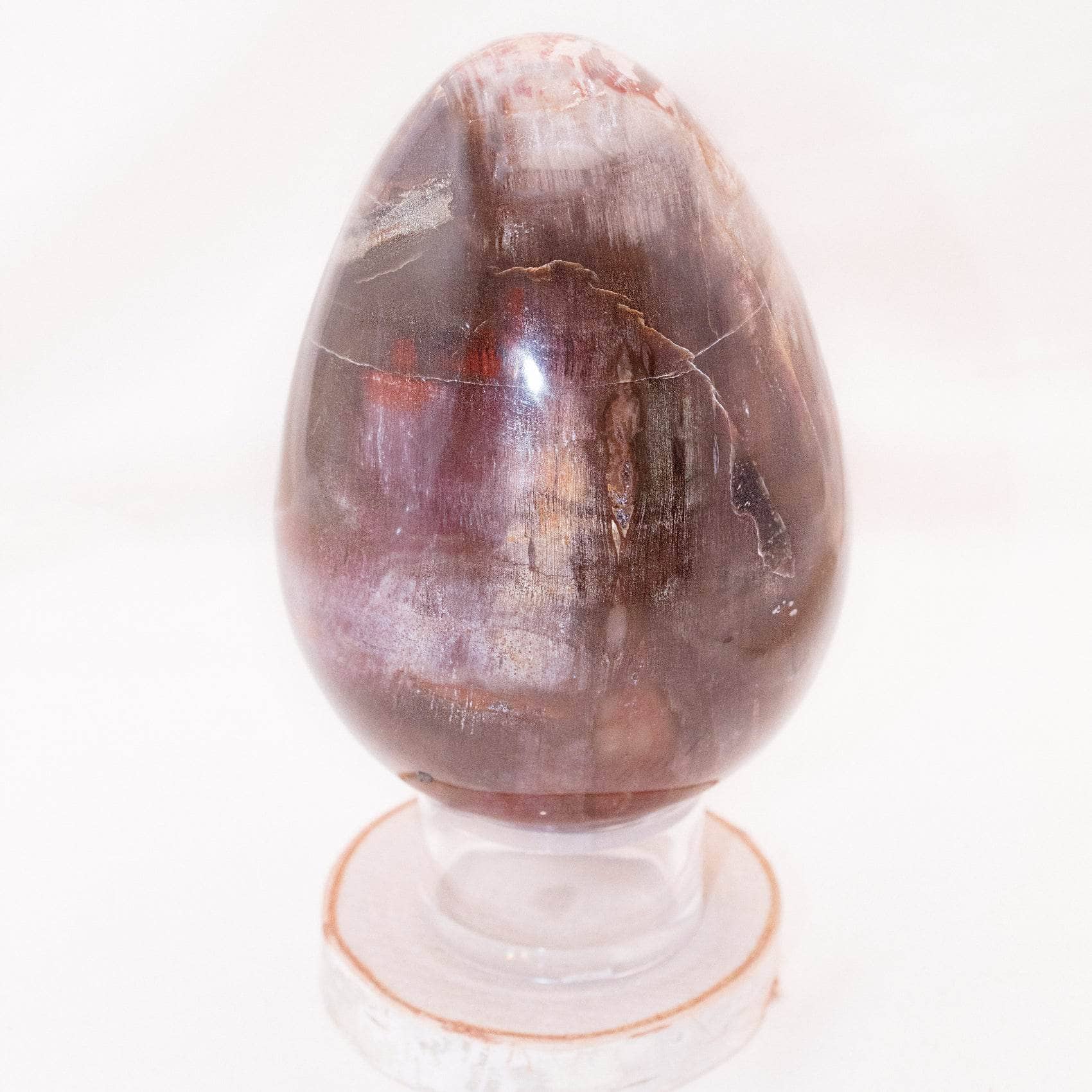 TR-EGG-PW-MI-4 Petrified Wood Egg - AAA Premium Quality - Image 10