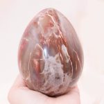 Petrified Wood Egg - AAA Premium Quality - Image 14