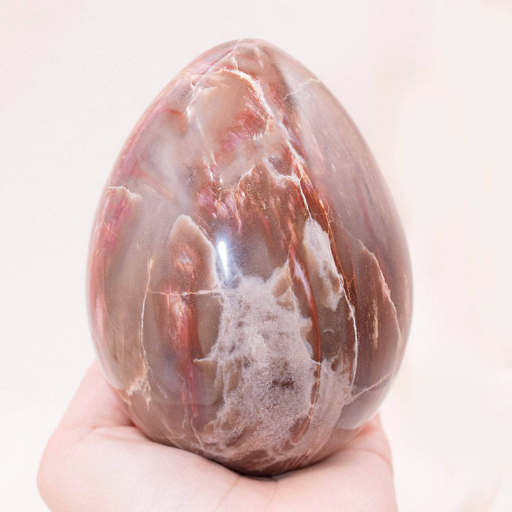 TR-EGG-PW-MI-5-1 Petrified Wood Egg - AAA Premium Quality - Image 14