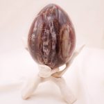 Petrified Wood Egg - AAA Premium Quality - Image 13