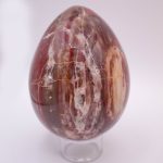 Petrified Wood Egg - AAA Premium Quality - Image 15