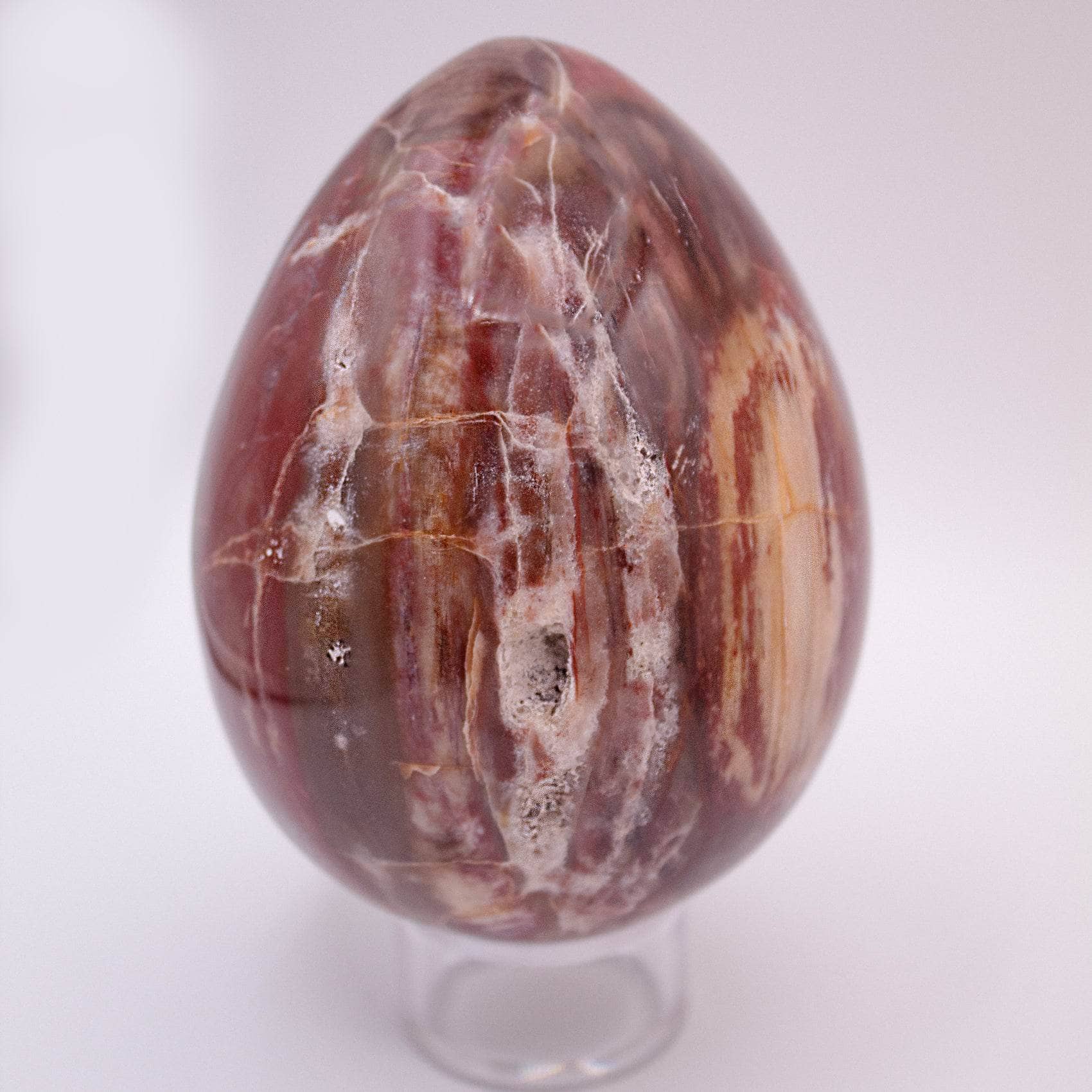 TR-EGG-PW-MI-5-2 Petrified Wood Egg - AAA Premium Quality - Image 15