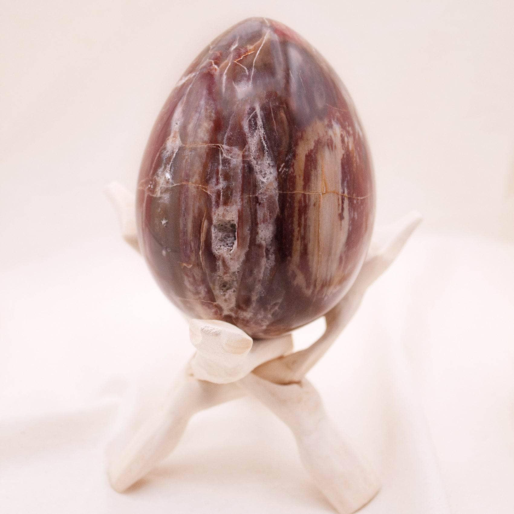 TR-EGG-PW-MI-5 Petrified Wood Egg - AAA Premium Quality - Image 13