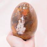Petrified Wood Egg - AAA Premium Quality - Image 18