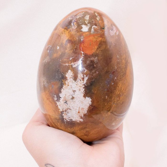 Petrified Wood Egg - AAA Premium Quality - Image 18