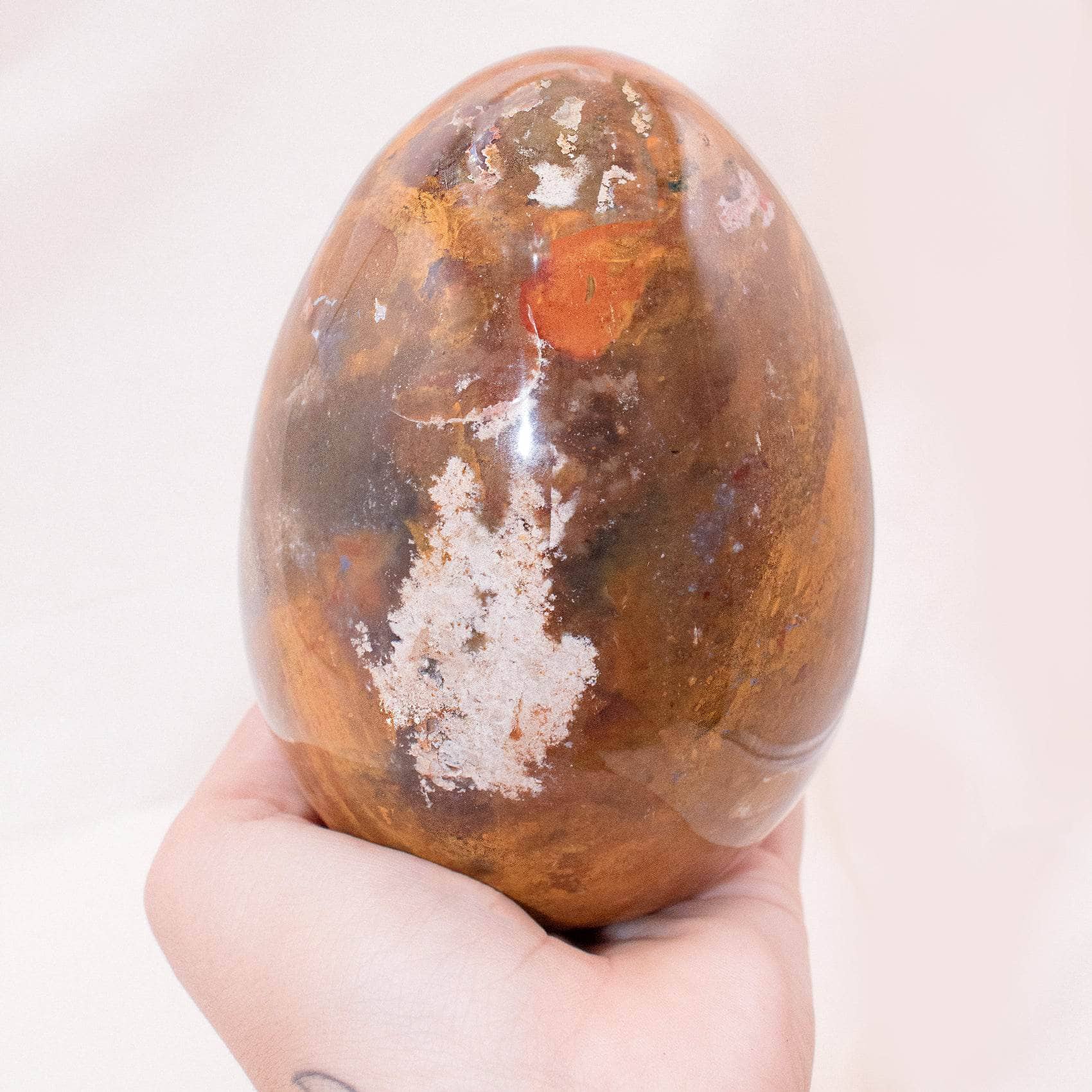 TR-EGG-PW-MI-6-1 Petrified Wood Egg - AAA Premium Quality - Image 18