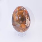 Petrified Wood Egg - AAA Premium Quality - Image 19