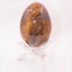 Petrified Wood Egg - AAA Premium Quality - Image 17