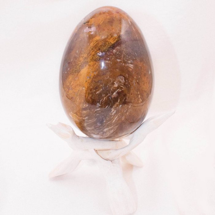 Petrified Wood Egg - AAA Premium Quality - Image 17