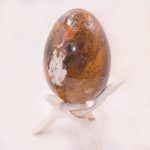 Petrified Wood Egg - AAA Premium Quality - Image 16