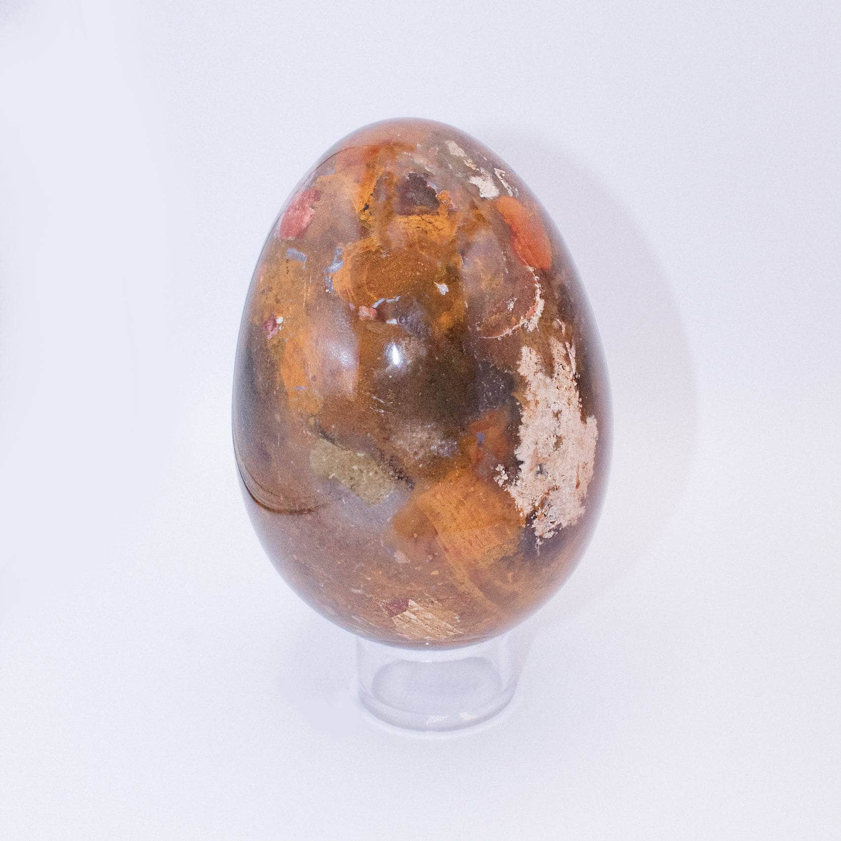 TR-EGG-PW-MI-6 Petrified Wood Egg - AAA Premium Quality - Image 19