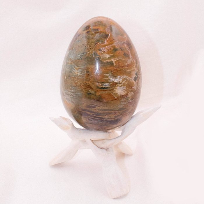 Petrified Wood Egg - AAA Premium Quality - Image 21