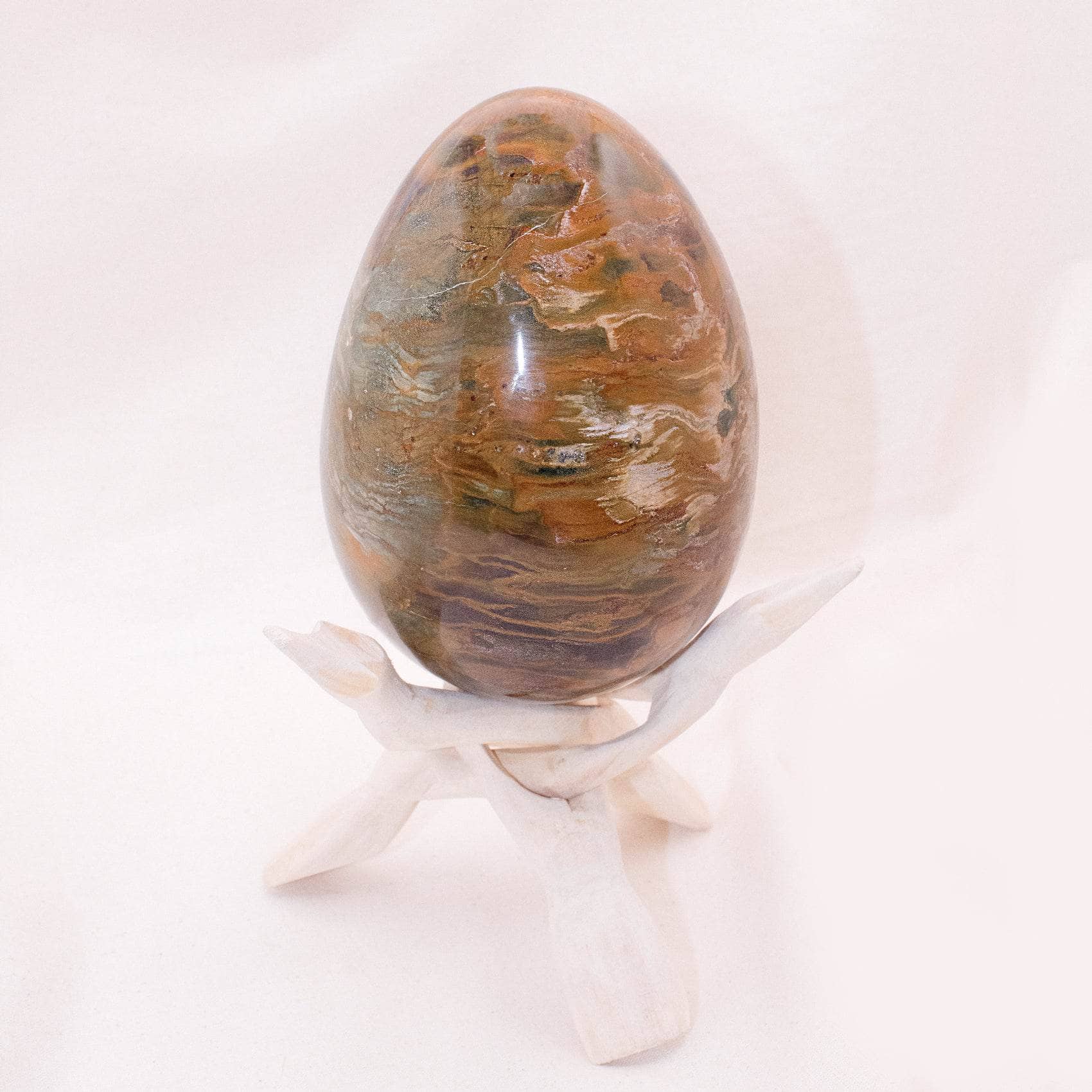 TR-EGG-PW-MI-7-1 Petrified Wood Egg - AAA Premium Quality - Image 21