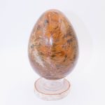 Petrified Wood Egg - AAA Premium Quality - Image 23
