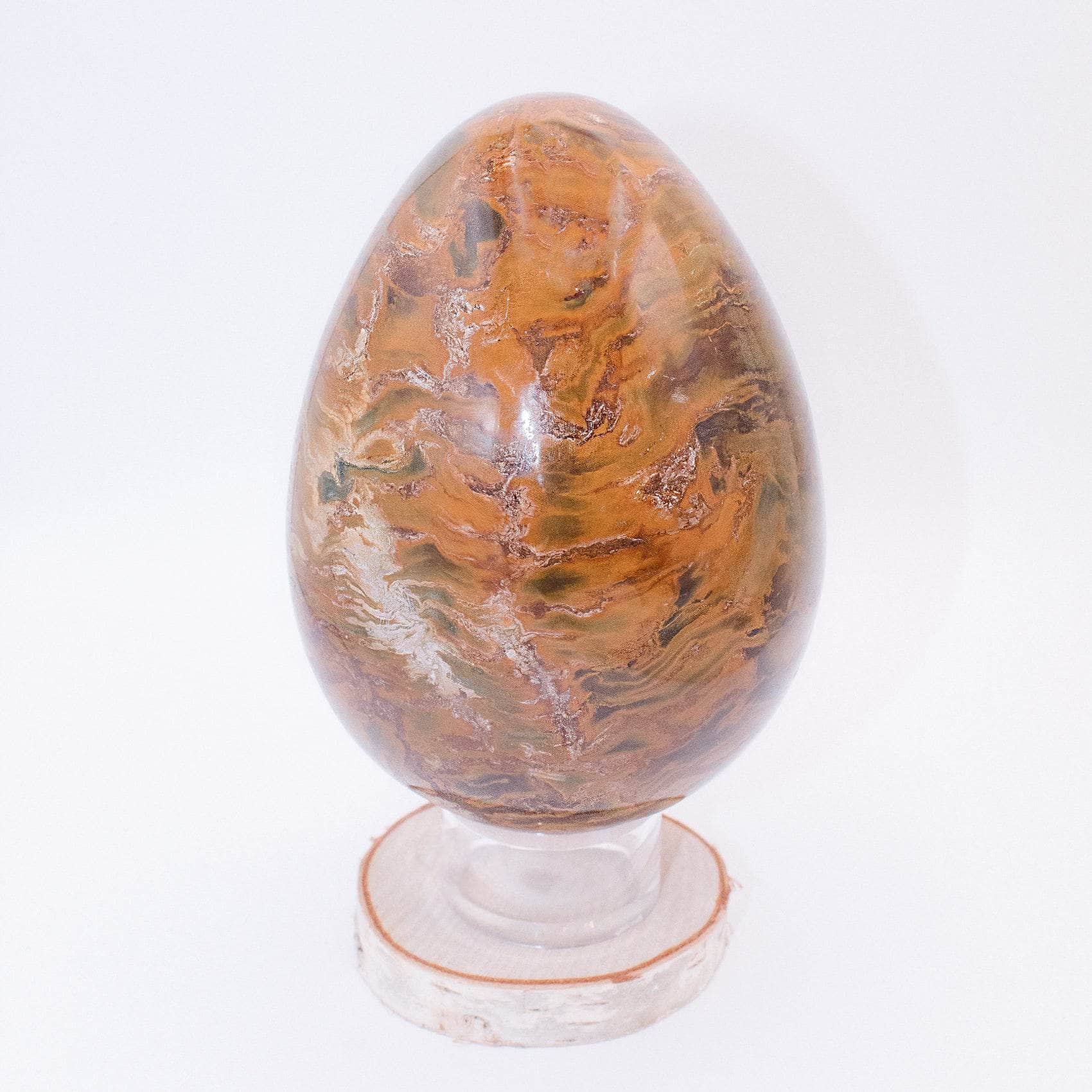 TR-EGG-PW-MI-7-2 Petrified Wood Egg - AAA Premium Quality - Image 23