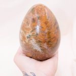 Petrified Wood Egg - AAA Premium Quality - Image 22