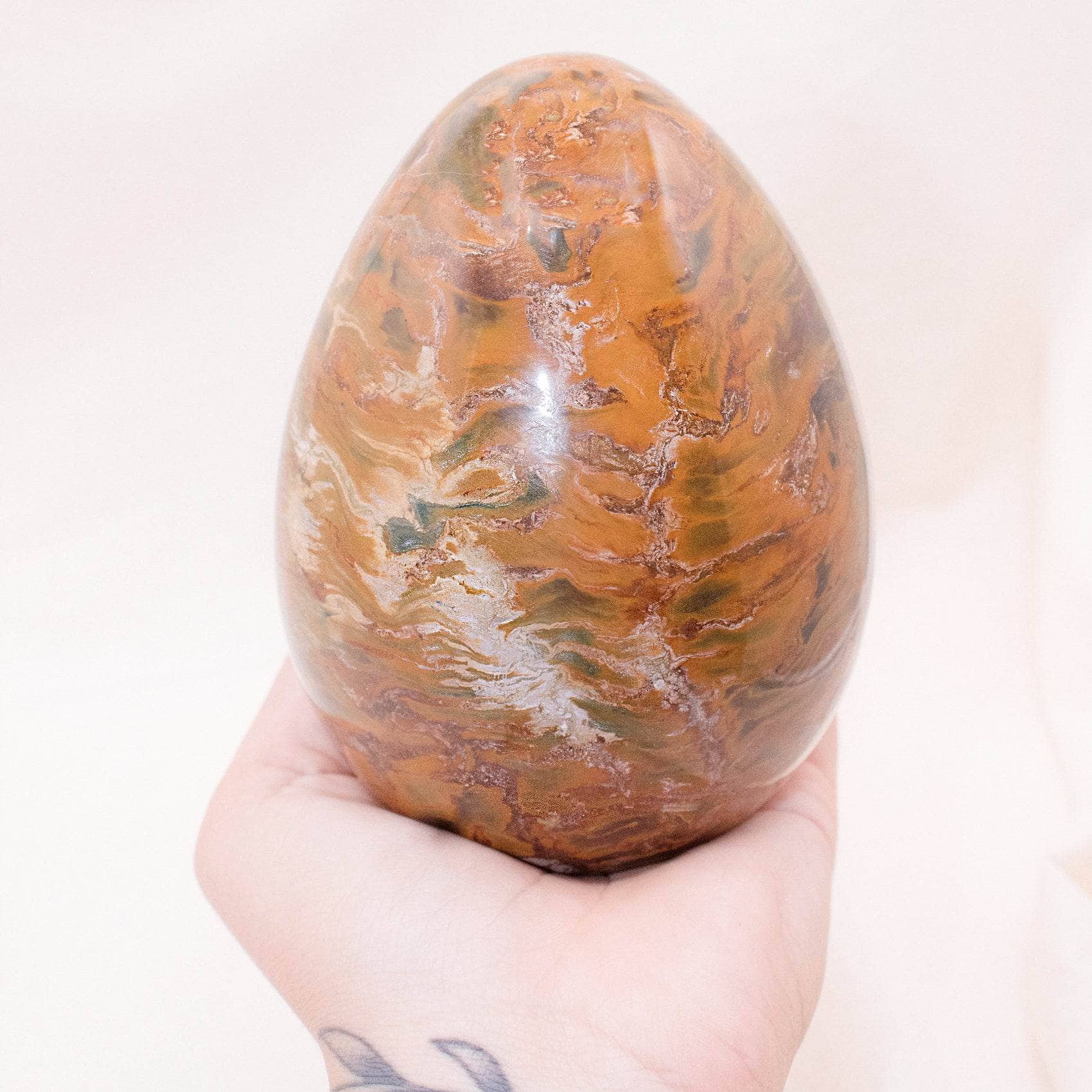 TR-EGG-PW-MI-7-3 Petrified Wood Egg - AAA Premium Quality - Image 22