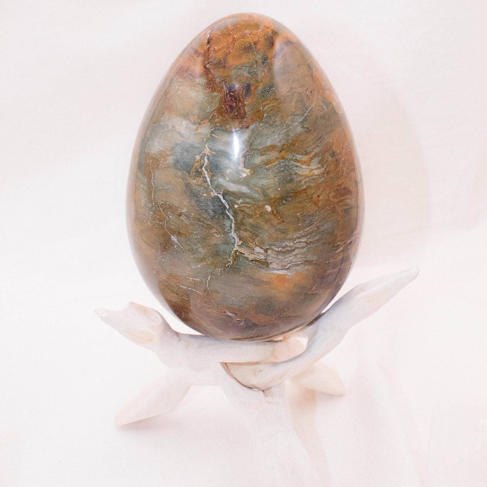 TR-EGG-PW-MI-7 Petrified Wood Egg - AAA Premium Quality - Image 20