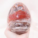 Petrified Wood Egg - AAA Premium Quality - Image 25