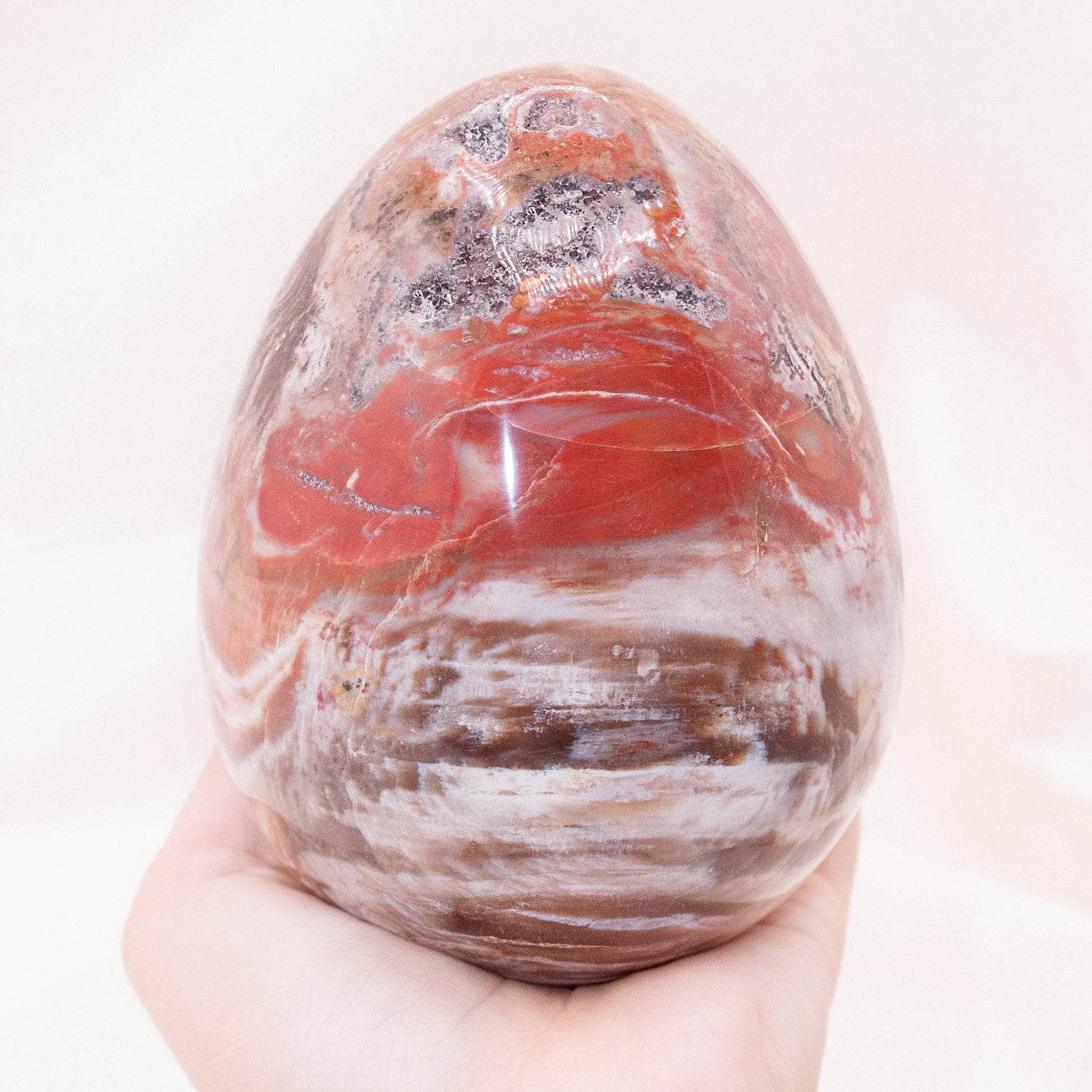 TR-EGG-PW-MI-8-1 Petrified Wood Egg - AAA Premium Quality - Image 25