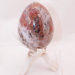 Petrified Wood Egg - AAA Premium Quality - Image 24