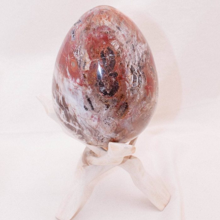 Petrified Wood Egg - AAA Premium Quality - Image 24