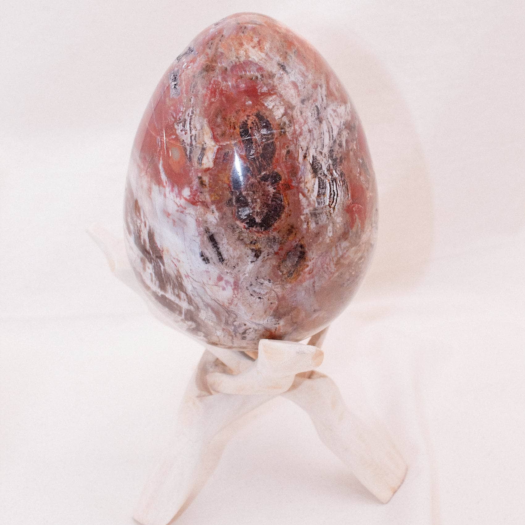 TR-EGG-PW-MI-8-2 Petrified Wood Egg - AAA Premium Quality - Image 24