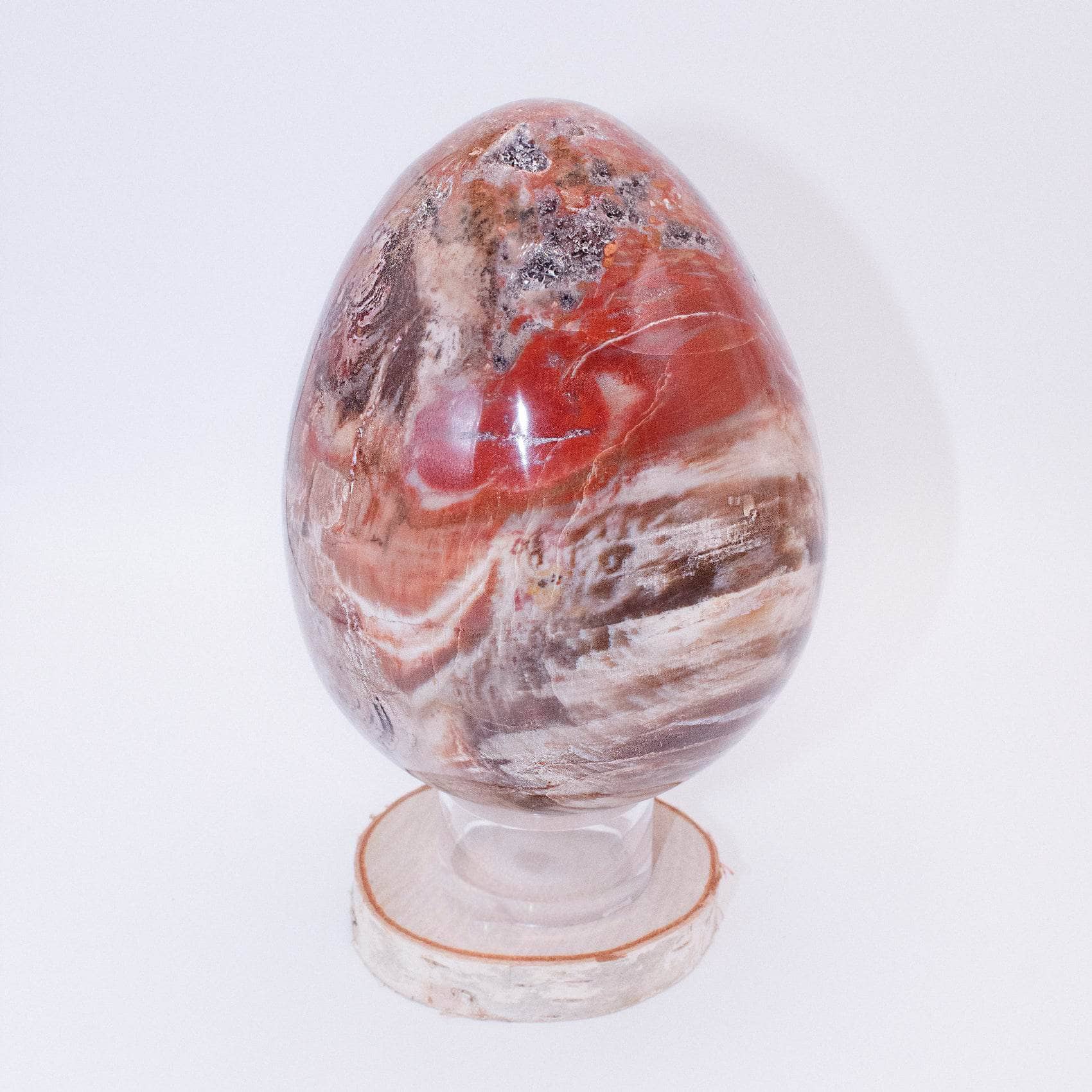 TR-EGG-PW-MI-8 Petrified Wood Egg - AAA Premium Quality - Image 26
