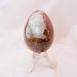 Petrified Wood Egg - AAA Premium Quality - Image 27