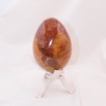 Petrified Wood Egg - AAA Premium Quality - Image 28