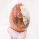 Petrified Wood Egg - AAA Premium Quality - Image 29