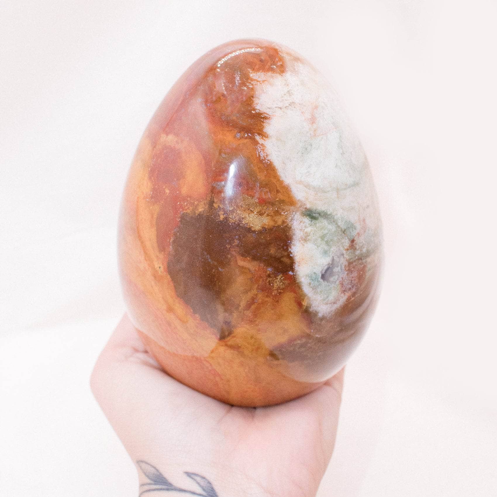 TR-EGG-PW-MI-9-2 Petrified Wood Egg - AAA Premium Quality - Image 29