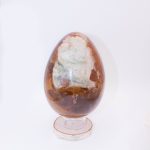Petrified Wood Egg - AAA Premium Quality - Image 30