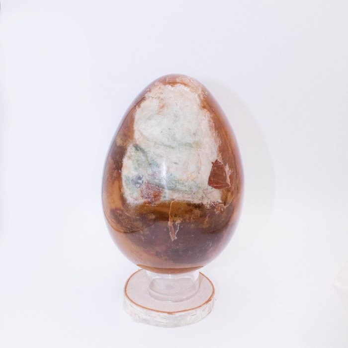 Petrified Wood Egg - AAA Premium Quality - Image 30