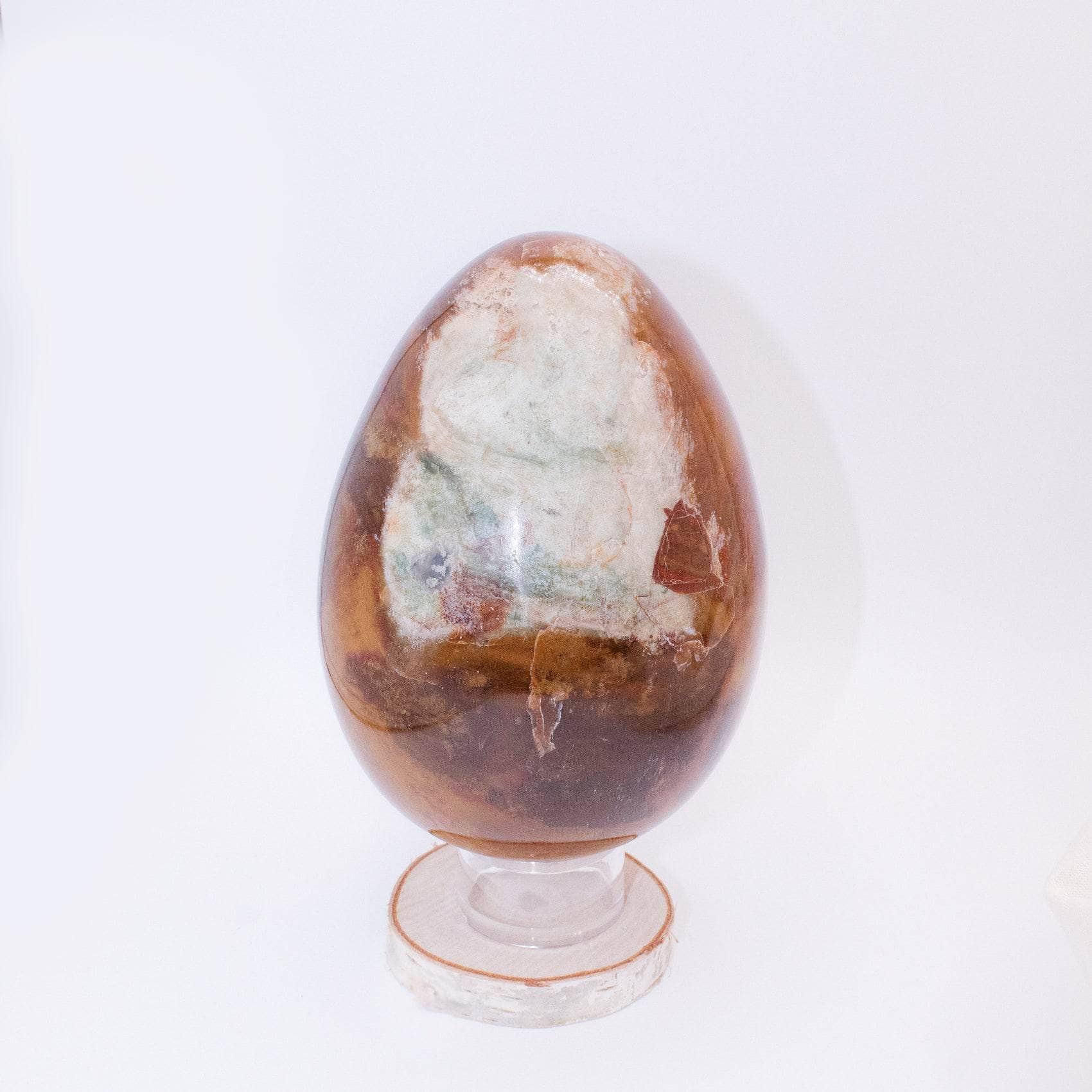 TR-EGG-PW-MI-9-3 Petrified Wood Egg - AAA Premium Quality - Image 30