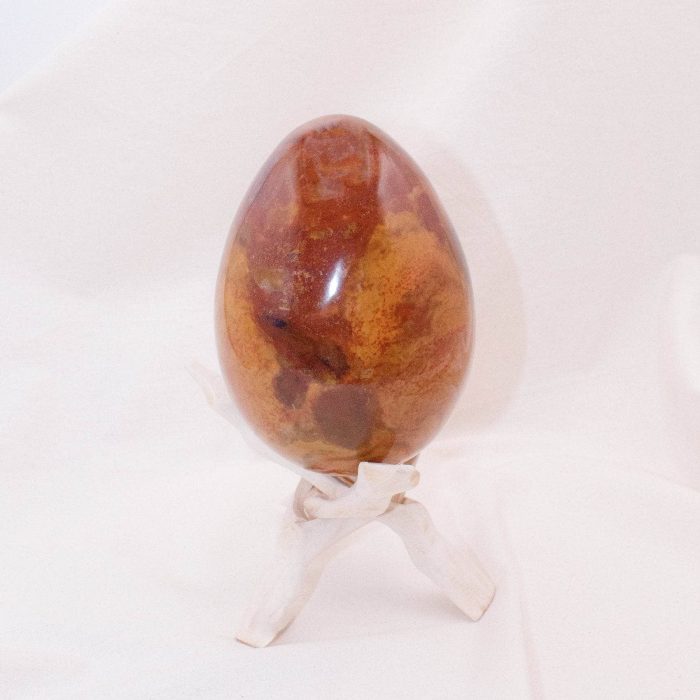 Petrified Wood Egg - AAA Premium Quality - Image 28