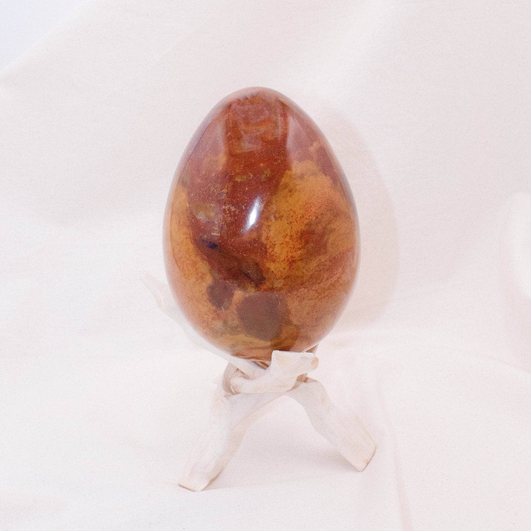 TR-EGG-PW-MI-9 Petrified Wood Egg - AAA Premium Quality - Image 28