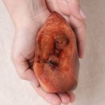 Carnelian Flame Crystal - 1 of a Kind - Image 21