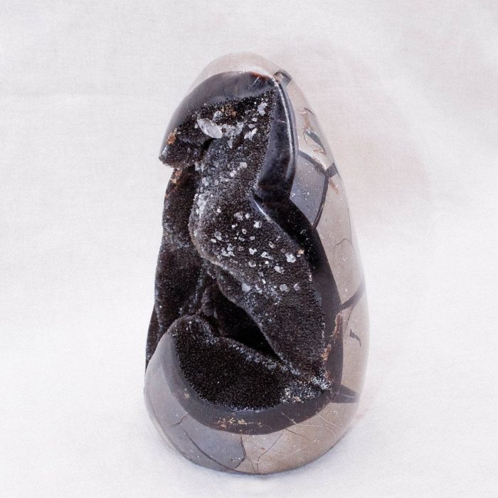 Rare Black Septarian Freeform Crystal - Image 1