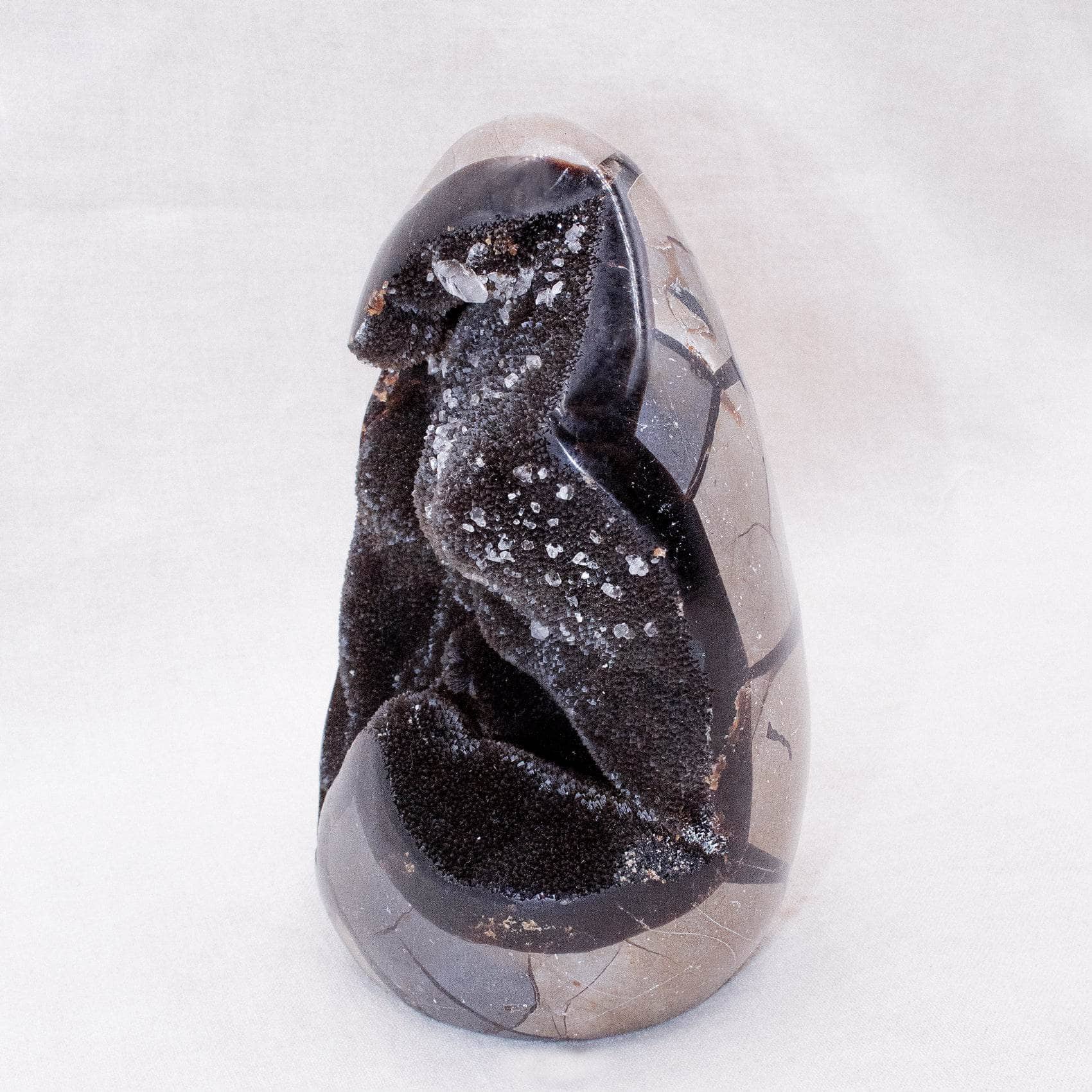 TR-FF-Sept-MI-1-2 Rare Black Septarian Freeform Crystal - Image 1