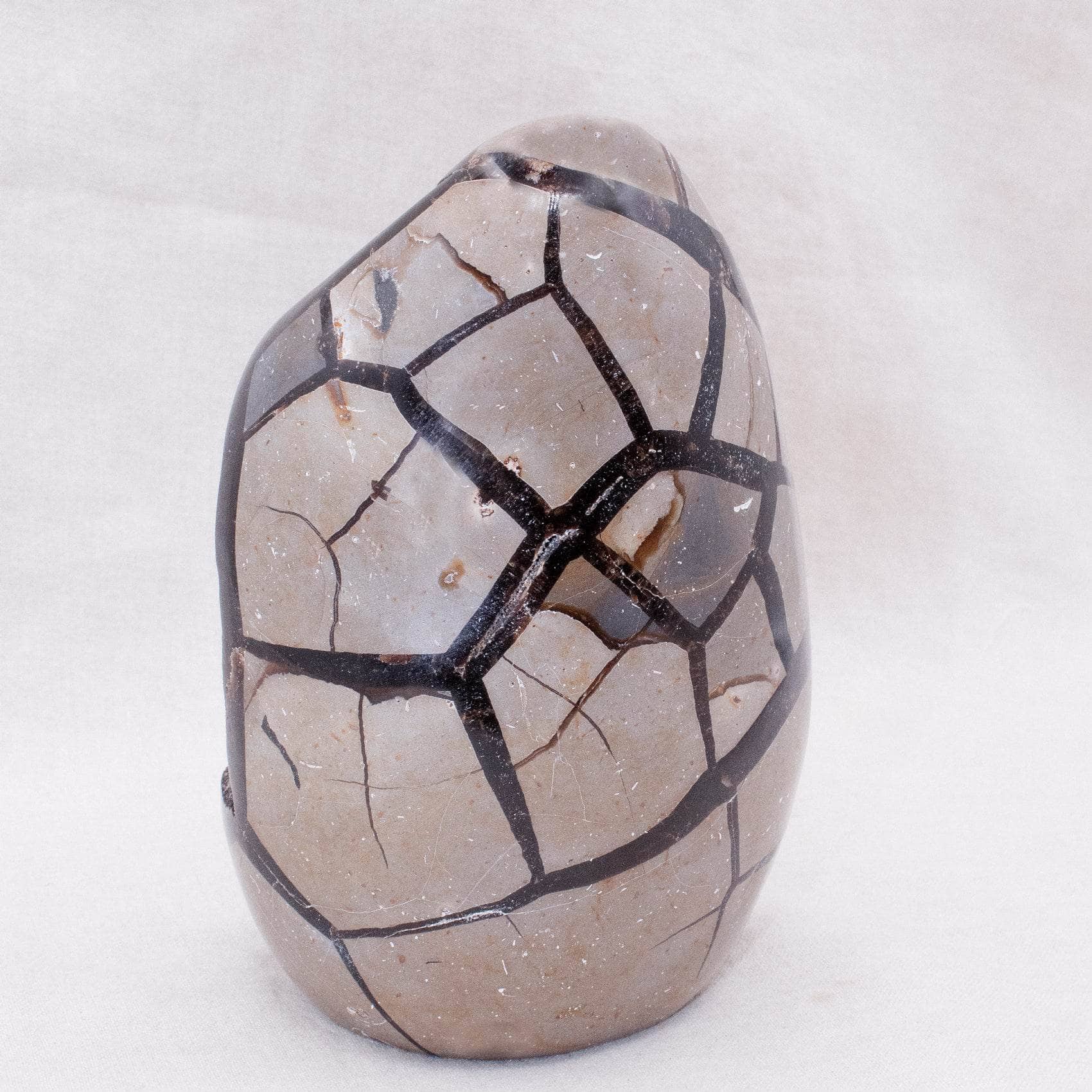 TR-FF-Sept-MI-1-4 Rare Black Septarian Freeform Crystal - Image 2