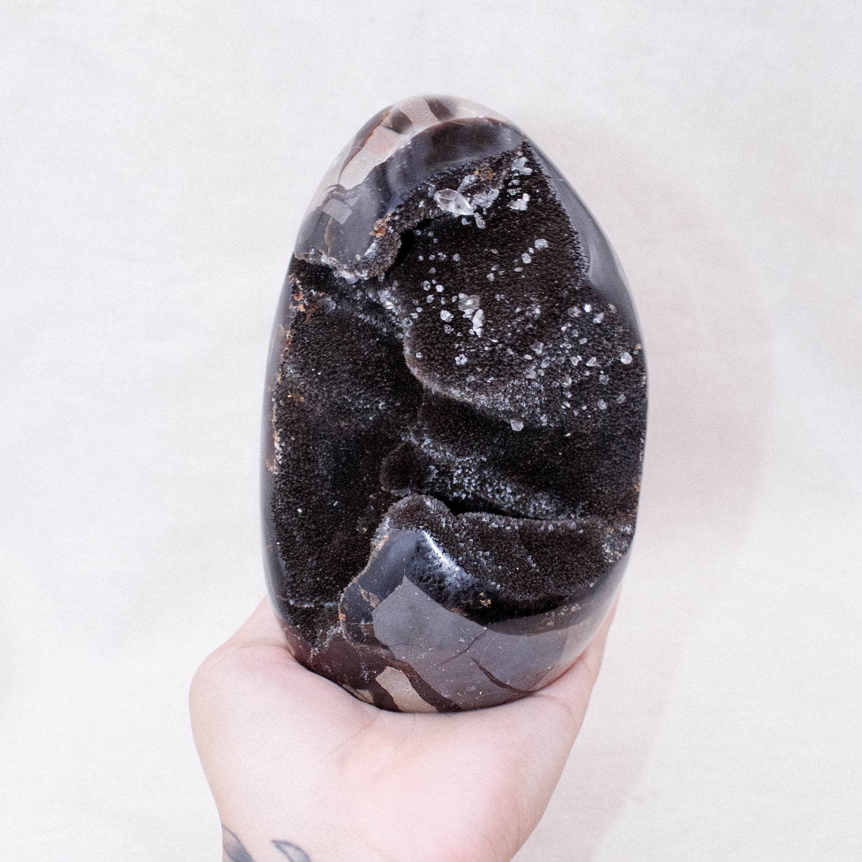 TR-FF-Sept-MI-1-5 Rare Black Septarian Freeform Crystal - Image 3
