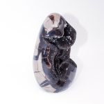 Rare Black Septarian Freeform Crystal - Image 4