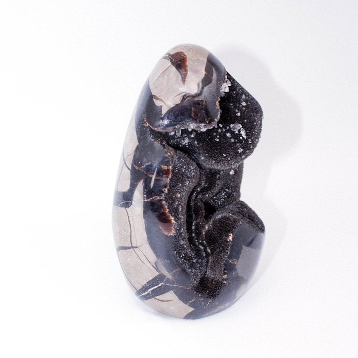 Rare Black Septarian Freeform Crystal - Image 4