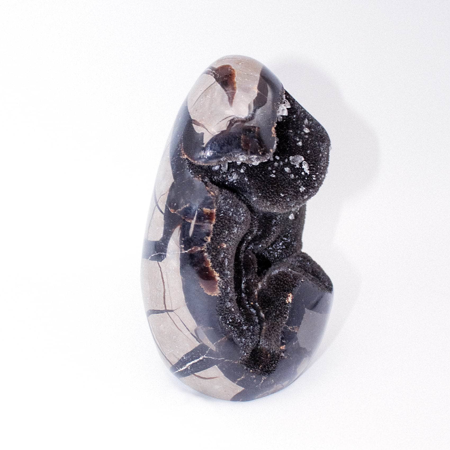 TR-FF-Sept-MI-1-7 Rare Black Septarian Freeform Crystal - Image 4